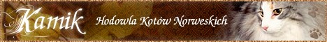Kamik - hodowla Kotów Norweskich Leśnych